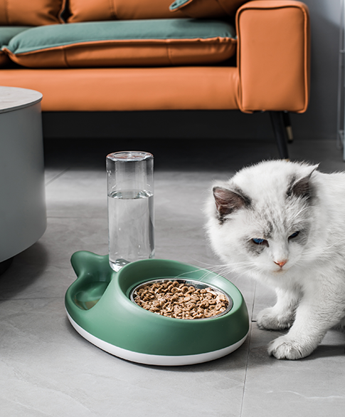 세트의 자동 고양이 급식기 및 워터 디스펜서